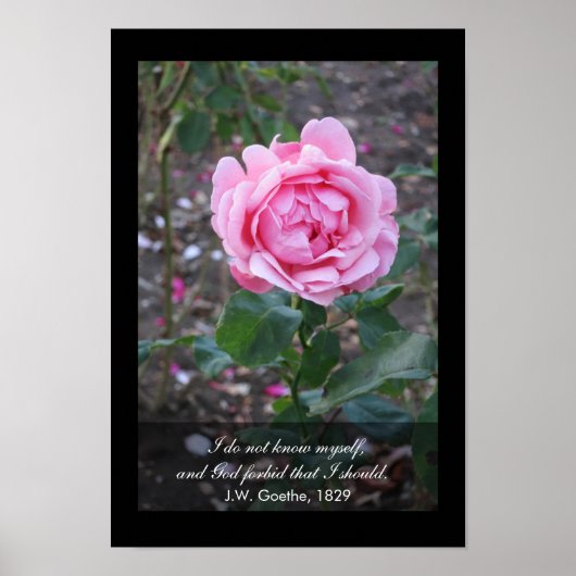 神は私が自分自身を知るべきであることを禁じる – ゲーテ引用文 ポスター (正面)