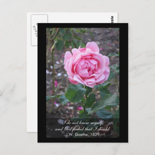 神は私が自分自身を知るべきであることを禁じる – ゲーテ引用文 ポストカード (正面/裏面)