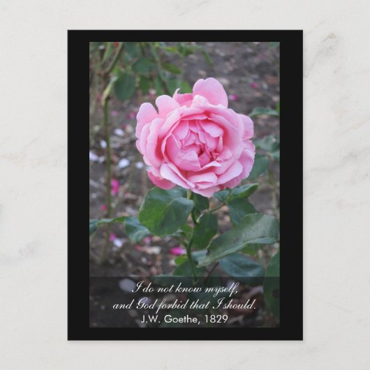 神は私が自分自身を知るべきであることを禁じる – ゲーテ引用文 ポストカード (正面)