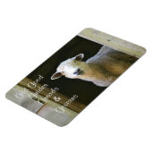 神は良い羊だ マグネット (左側)