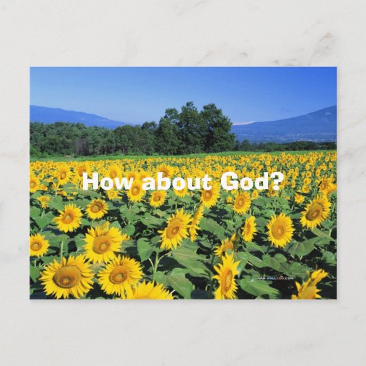 神は? ポストカード (正面)