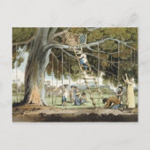 神への最初の果実の供え物,プレート1 ポストカード (正面)