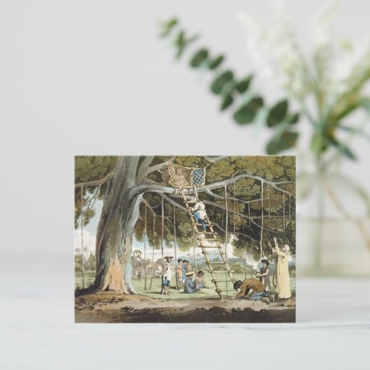 神への最初の果実の供え物,プレート1 ポストカード (スタンド正面)