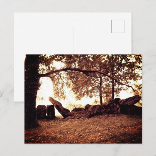 神アーカイブ ポストカード (正面/裏面)