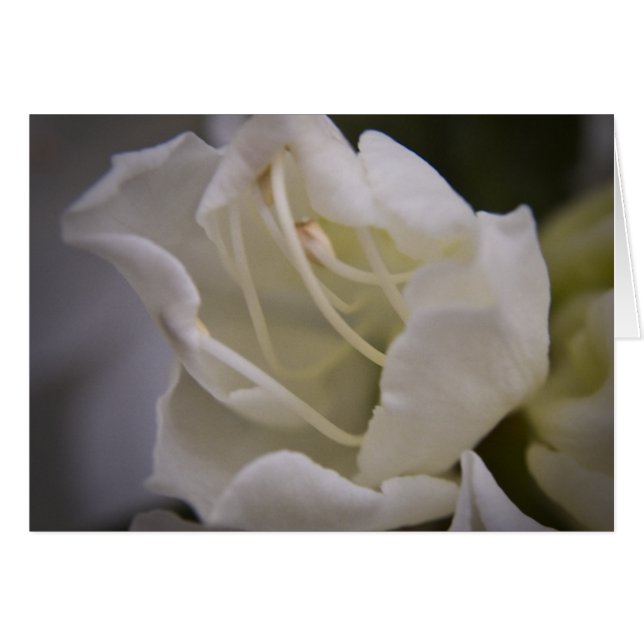 神エネルギーカード (正面横)