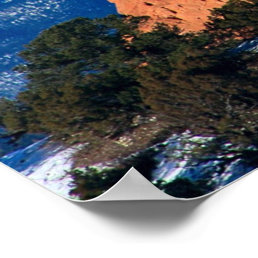 神キスをする々園のラクダ ポスター (角)