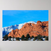 神キスをする々園のラクダ ポスター (正面)