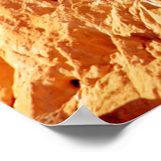 神キスをするの園ラクダ ポスター (角)