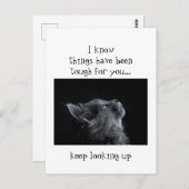 神保に向かって勇気付けられる猫 ポストカード (正面/裏面)