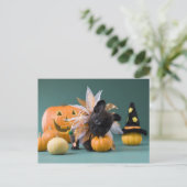 神奈川県，本州 ポストカード (スタンド正面)