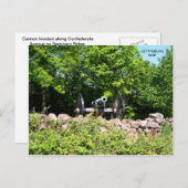 神学校リッジの大砲 ポストカード (正面/裏面)