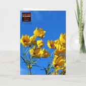 神感謝していよ（コロサイ3:12） カード (裏面)