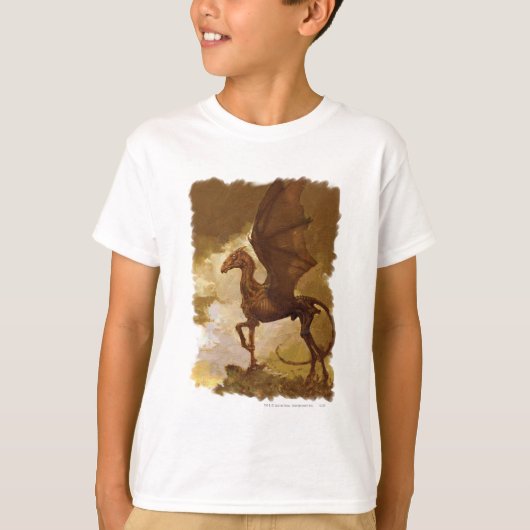 神格の Tシャツ (正面)