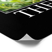 神様が猫を描いた作品 ポスター (角)