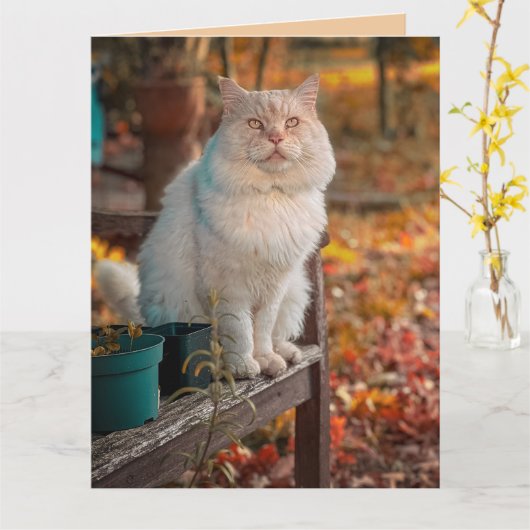 神様、いつもあなたのことを思い出すたびに感謝します 猫のカード カード (黄色い花)