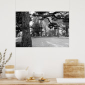 神殿の門の日本の日光 ポスター (キッチン)