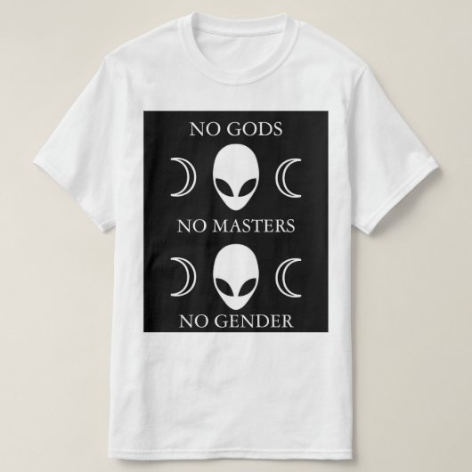 神無しマスター無し性のスタイル無し2 Tシャツ (デザイン正面)