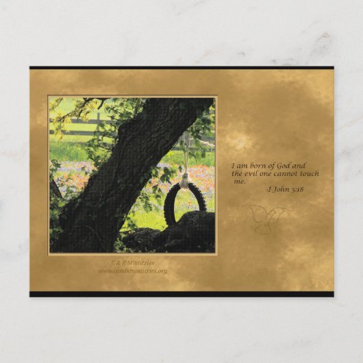 神生まれ葉書 ポストカード (正面)