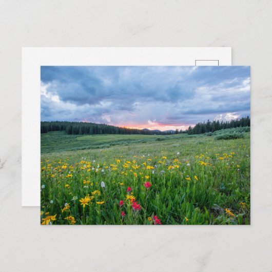 神社のパス道路、赤い崖、統一された州 ポストカード (正面/裏面)