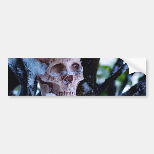 神秘の冬Ⅰ バンパーステッカー (正面)