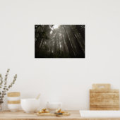 神秘の木 ポスター (キッチン)