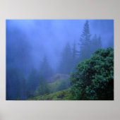 神秘の木 ポスター (正面)