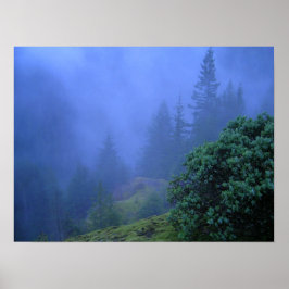 神秘の木 ポスター