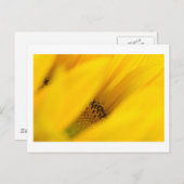 神秘を喜ばせる ポストカード (正面/裏面)