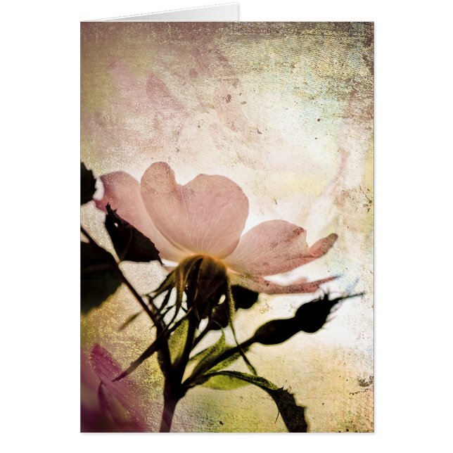 神秘主義者の中へ (正面)