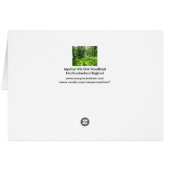 神秘的で古いカシの森林-ハッピーバースデーカード (裏面横)