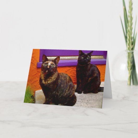 神秘的なサルの猫たちのグリーティングカード カード (正面)