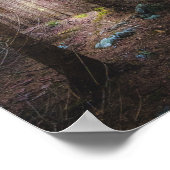 神秘的なトウヒ林 ポスター (角)