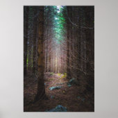 神秘的なトウヒ林 ポスター (正面)