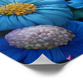 神秘的なファンタジーの白い子猫 ポスター (角)