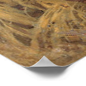 神秘的なモーン・ハンス・ヘイセン1904南オーストラリア ポスター (角)