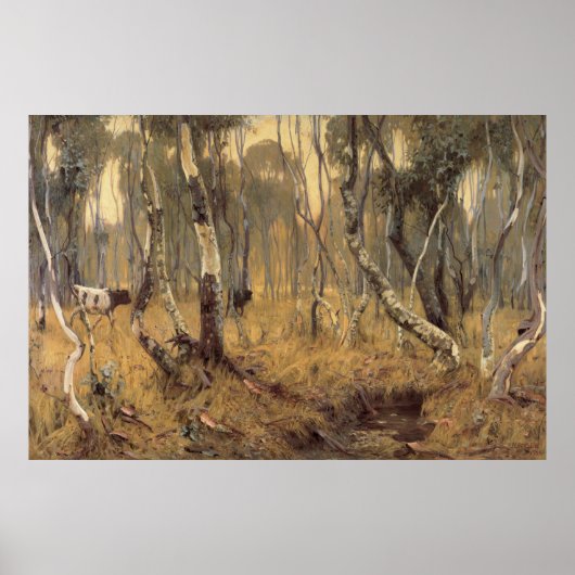 神秘的なモーン・ハンス・ヘイセン1904南オーストラリア ポスター (正面)