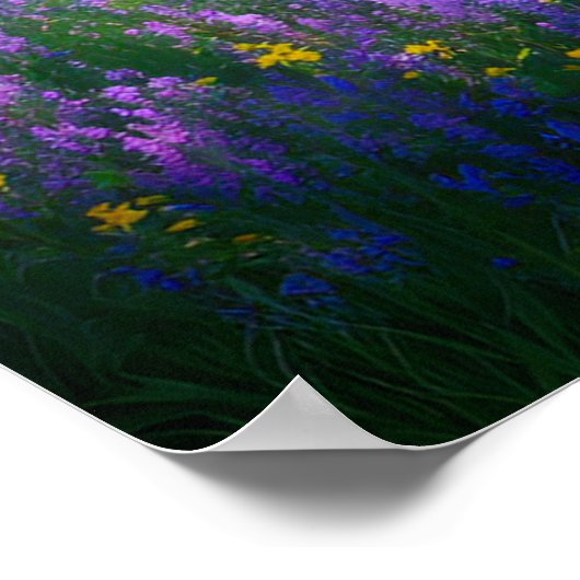 神秘的な丘の中腹、魅惑的な白い木 ポスター (角)