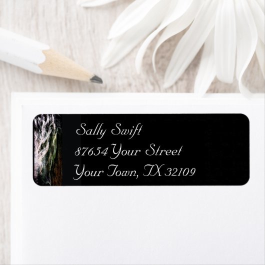 神秘的な友人 ラベル (インサイチュ)