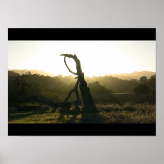 神秘的な啓示 – ポスター