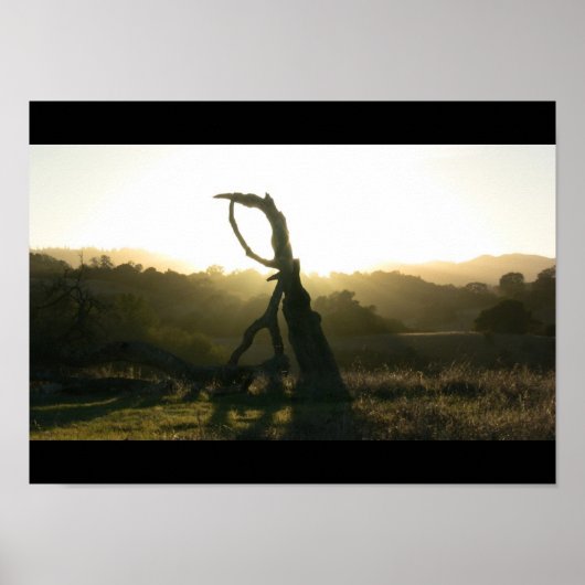 神秘的な啓示 – ポスター (正面)