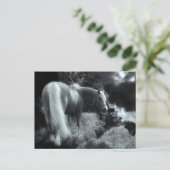 神秘的な夜馬のはがき ポストカード (スタンド正面)