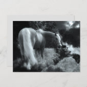 神秘的な夜馬のはがき ポストカード (正面/裏面)