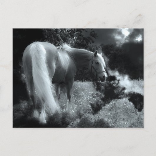 神秘的な夜馬のはがき ポストカード (正面)