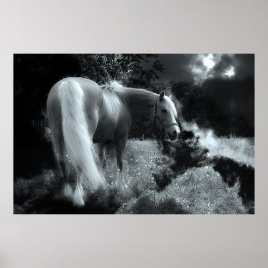 神秘的な夜馬のポスター ポスター (正面)