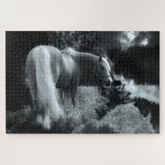 神秘的な夜馬パズル ジグソーパズル (横)