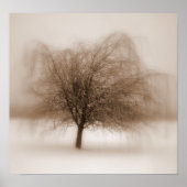 神秘的な夢 ポスター (正面)