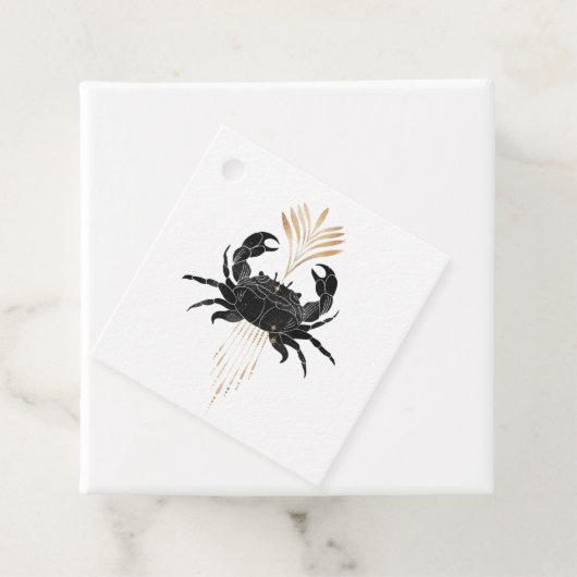 神秘的な宇宙航海のビーチ フェイバータグ (インサイチュ)