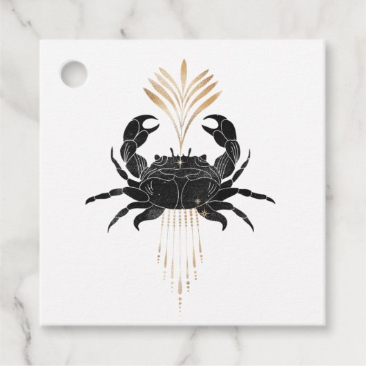 神秘的な宇宙航海のビーチ フェイバータグ (正面)