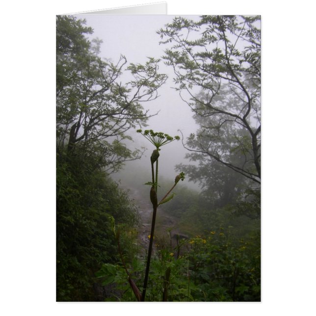 神秘的な朝 (正面)