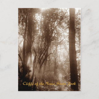 神秘的な朝CN1 -郵便はがき ポストカード